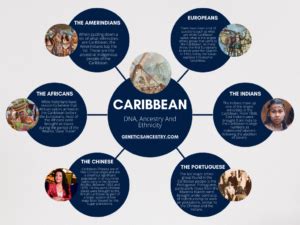 caribbean ancestry dna.